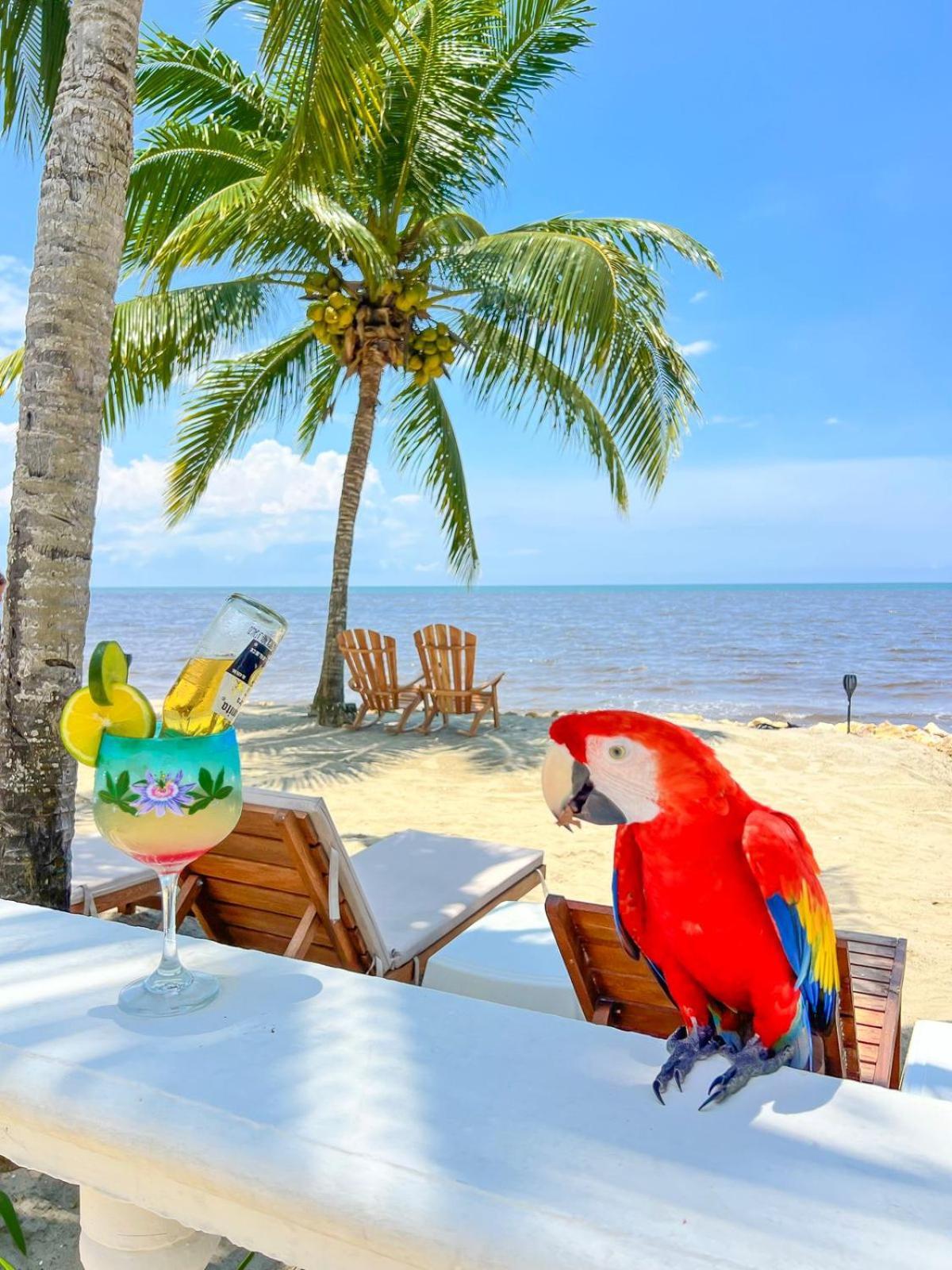 Hotel Costa Linda Tolú エクステリア 写真