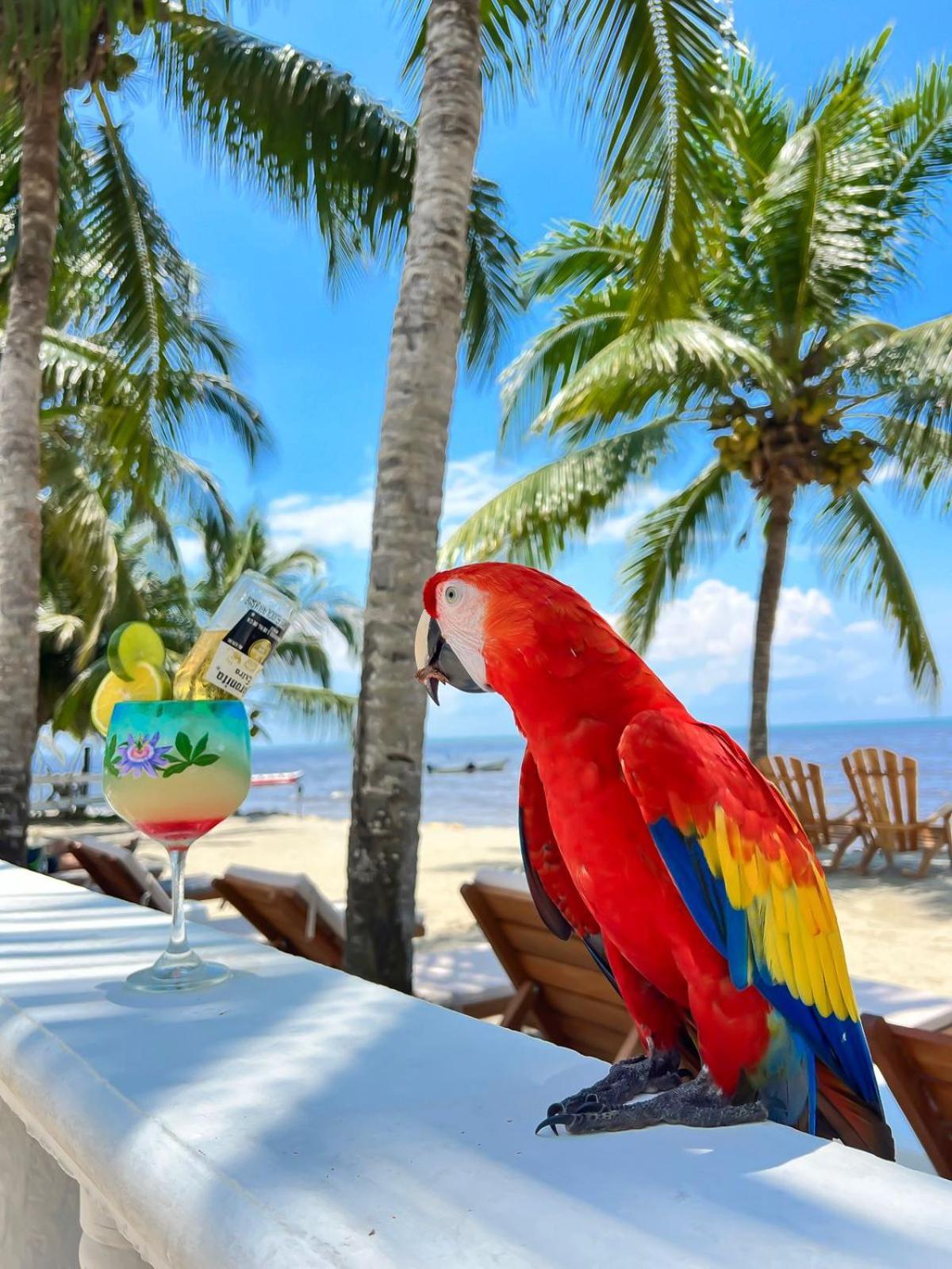 Hotel Costa Linda Tolú エクステリア 写真