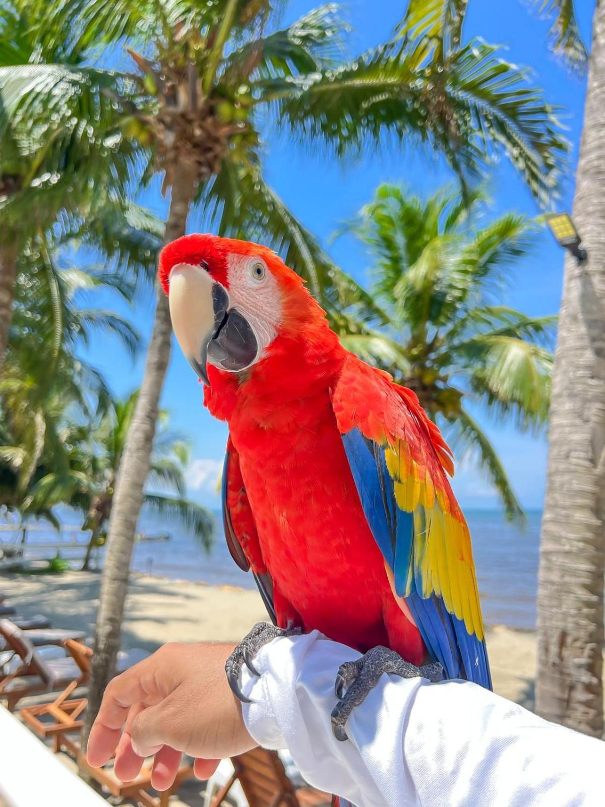 Hotel Costa Linda Tolú エクステリア 写真